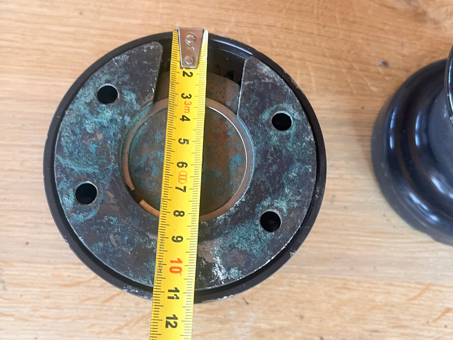 Merriman Holbrook 20 lieren