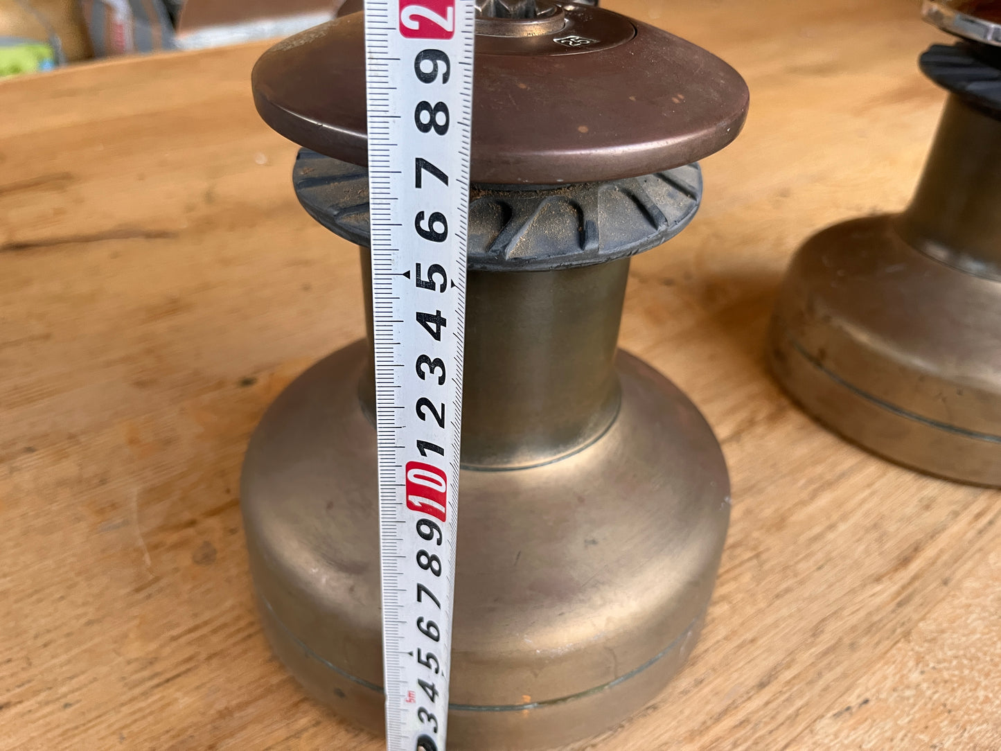 Bronzen Barlow 25/26 st selftailing lieren