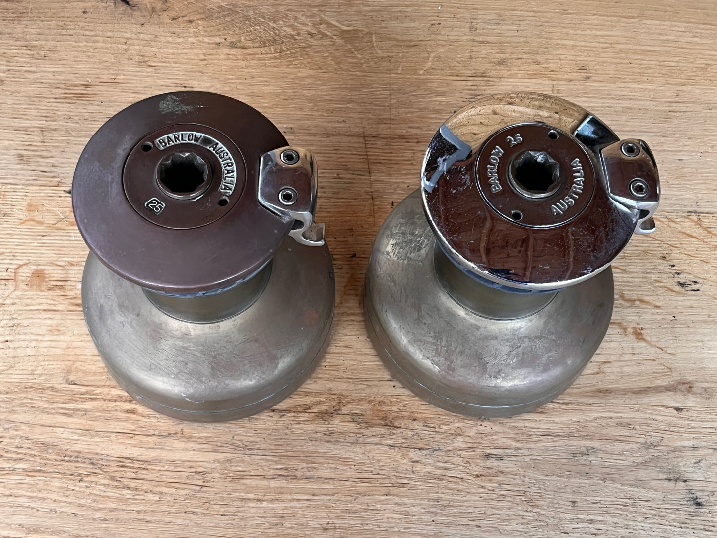 Bronzen Barlow 25/26 st selftailing lieren