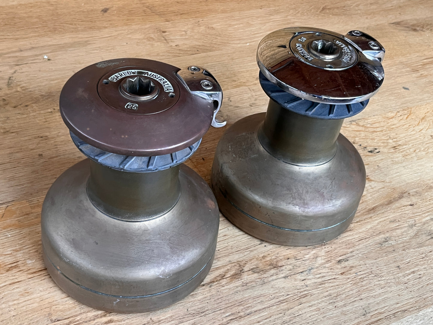 Bronzen Barlow 25/26 st selftailing lieren