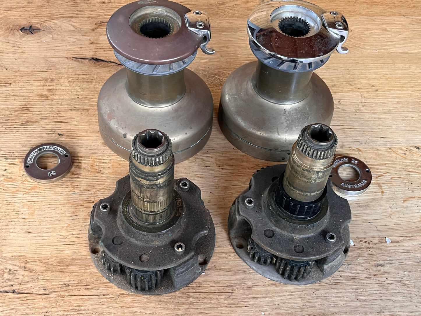 Bronzen Barlow 25/26 st selftailing lieren