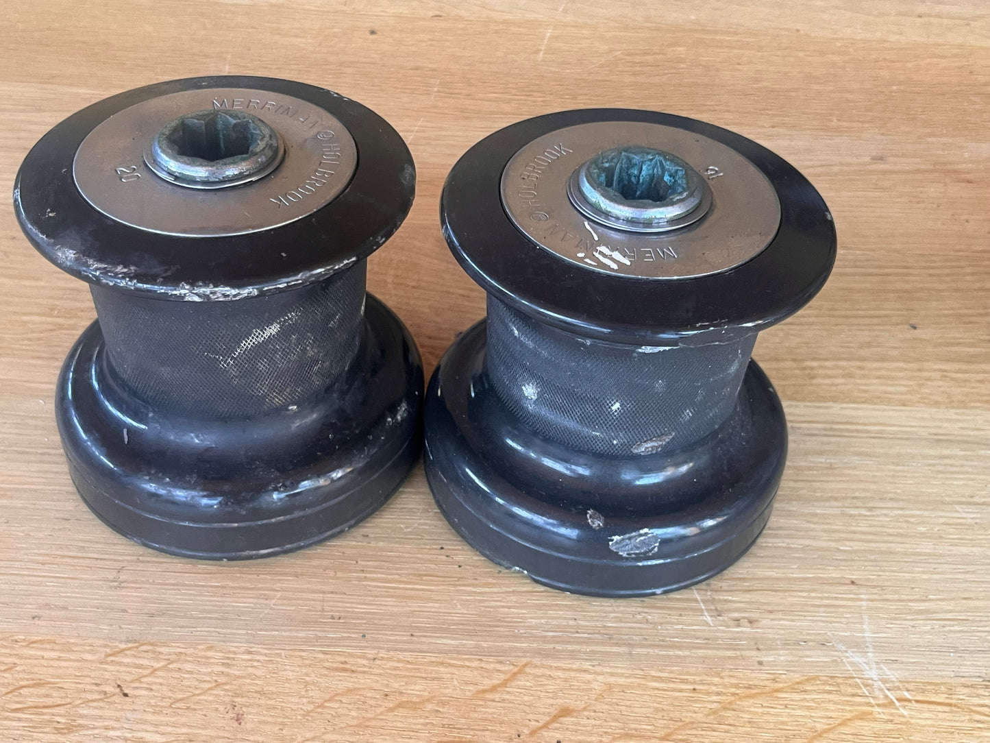 Merriman Holbrook 20 lieren