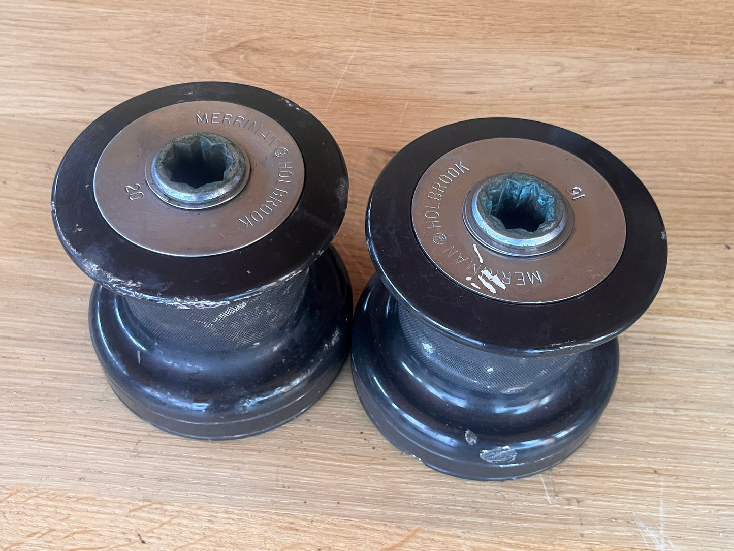 Merriman Holbrook 20 lieren