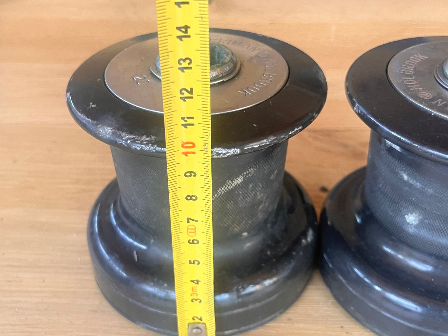 Merriman Holbrook 20 lieren