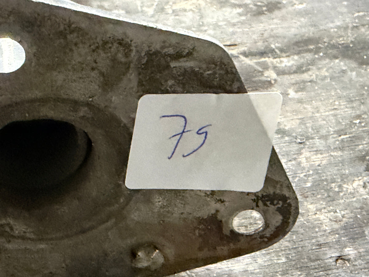 6 x RVS scepter 47 cm met scepterpot