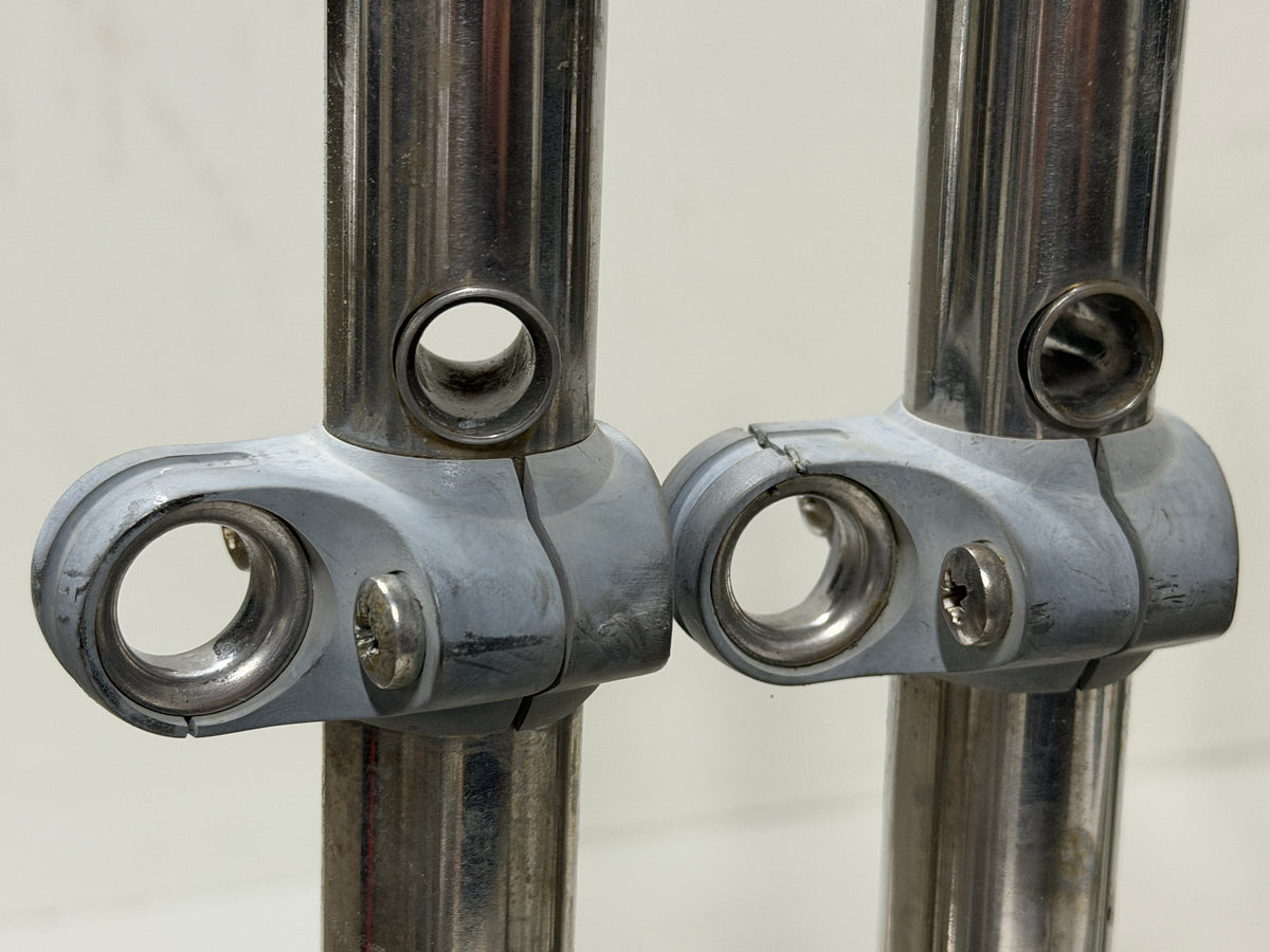 6 x RVS scepter 51 cm met scepterpot