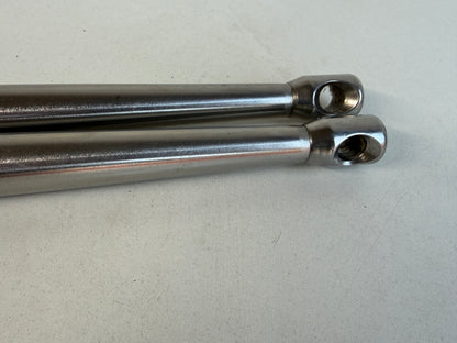2 x RVS scepter 46 cm