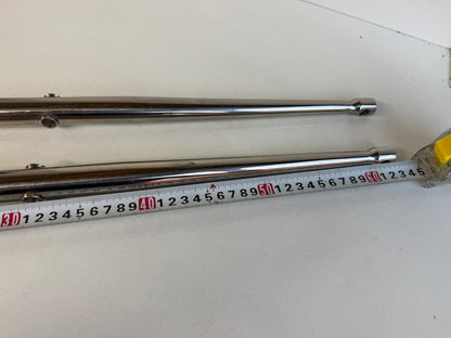 2 x RVS scepter 63 cm met scepterpot