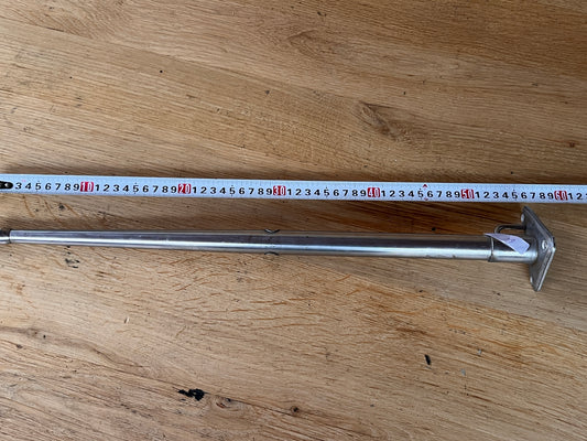 1 scepter met scepterpot 55 cm