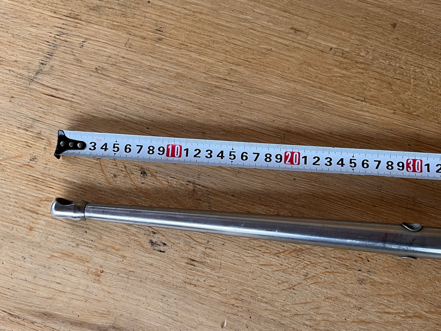 1 scepter met scepterpot 55 cm